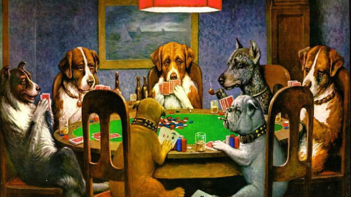 Paşacasino423